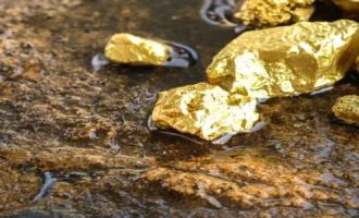 gold-mine-thnk