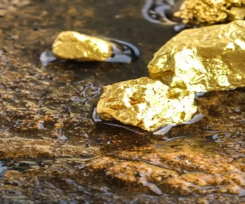 gold-mine-thnk