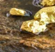 The Massive Gold Deposits Discovered in Uganda
